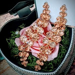 NWT Persimmon Earrings